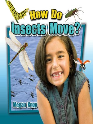 cover image of How Do Insects Move?